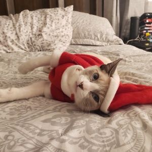 Meet your Posher, Luis